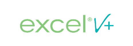 excelV+
